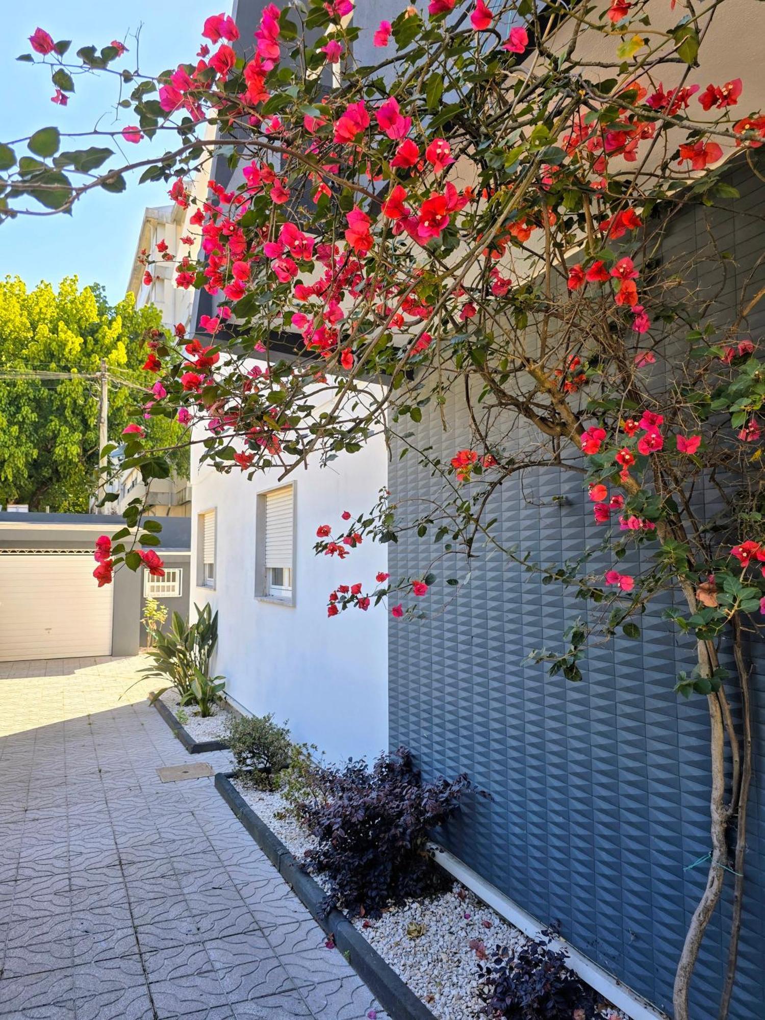 Casa Da Ana Holiday home